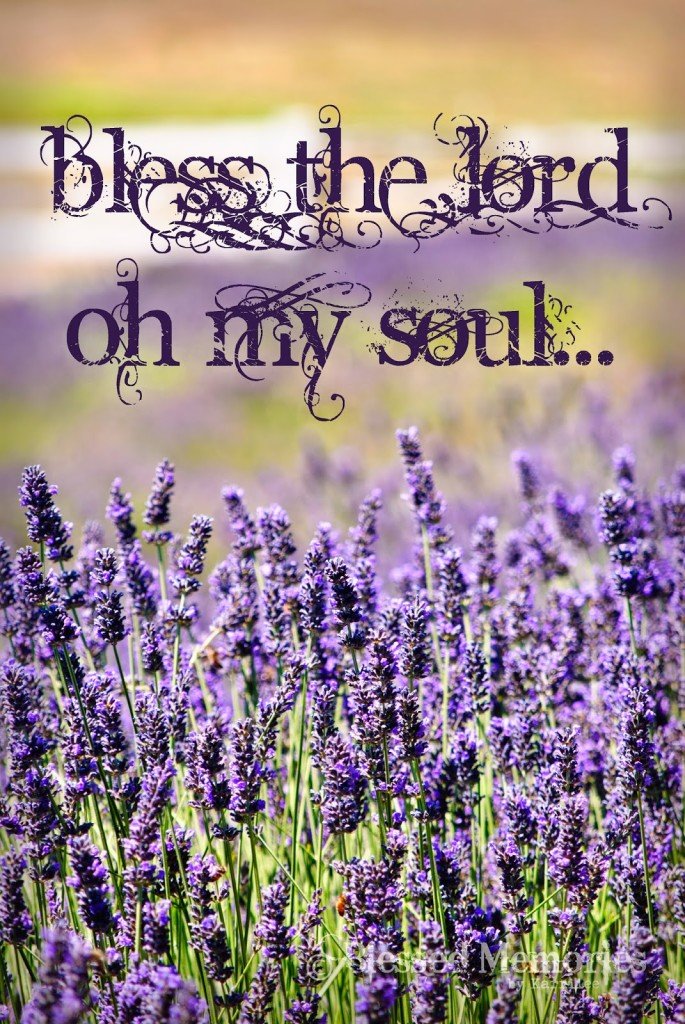 Bless, my soul, to Lord, Psalm 103: 1 (psalm 103: 1), Spanish