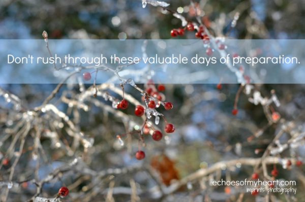 Valuable days of preparation quote with winter berries and ice