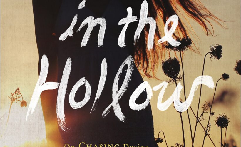 Wild in the Hollow by Amber C Haines via Revell