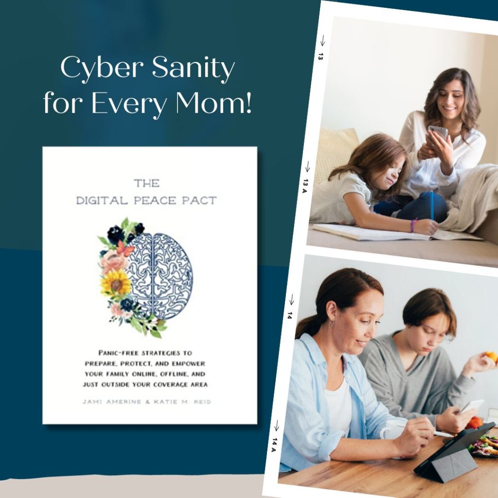 The Digital Peace Pact workbook cyber sanity for every mom