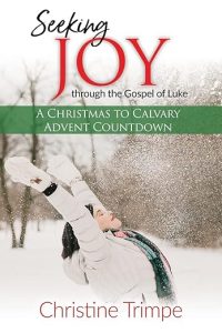 Seeking Joy through the Gospel of Luke by Christine Trimpe